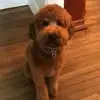 Gracie527 - @ednalevinekaras - TikTok