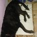 Edna Lilly - Facebook