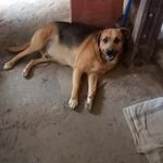 Edna - @edna.limas - Instagram