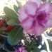 Edna Limas - Facebook
