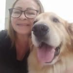Edna Lino - @edna.doghero - Instagram