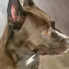 Edna L - @edna..luna - TikTok