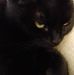 Edna Lynch - Facebook
