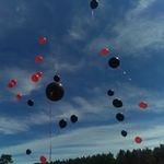 Edna Campbell Lyons - @ednacampbelllyons - Instagram