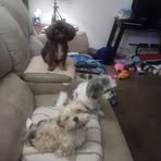 Edna Maker - Facebook