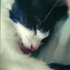 Edna Mara - @edna.mara44 - TikTok