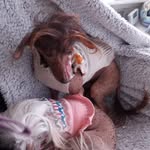Edna Markham - @markhamedna - Instagram