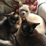 George|Edna|Tay Marsh-Clarke - @georgeednataymarshclarke - Instagram