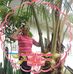 Edna Marte - Facebook
