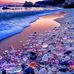 Edna Massa - Facebook