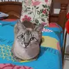 Edna Massako - @edna.massako - TikTok