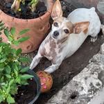 Edna Mayorga - @edna.mayorga.77 - Instagram