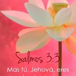 Edna Mayorga - @edna_mayorga - Instagram