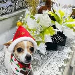 Edna Mayorga - @edna.mayorga.77 - Instagram