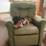 Edna McBride - @edna.mcbride.75 - Instagram