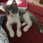 Edna Mccann - @edna.mccann - Instagram