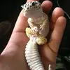 DarkEvilShadowKing666🦎 - @darkevilshadowking666 - TikTok