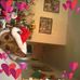 Edna McCray - Facebook