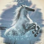 Edna Spence-mcmaster - Facebook