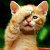 Edna Merida - Facebook