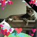 Edna Mims - Facebook
