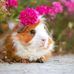 Edna Miner - Facebook
