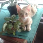 Edna Minera - @ednaminera - Instagram