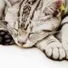 Edna Mitchell - @edna.mitchell4 - TikTok