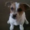 EdnaMo - @ednamo.1775 - TikTok