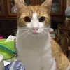 Edna - @edna.molina - TikTok