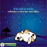 EDNA MONROY - @monroy7300 - Instagram