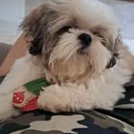 Edna Monteiro - Facebook