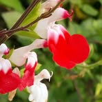 Edna Moran - Facebook