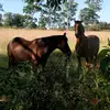 Edna Morin - @edna.morin2 - TikTok