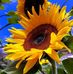 Edna Espirita Robladillo Mucha - Facebook