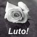 Edna Muniz - Facebook