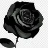 Edna Muniz - @edna.muniz42 - TikTok