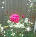 Edna Murdock - Facebook