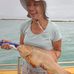 Edna Naylor - Facebook