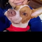 Edna Neri Machado - @anjochacal - Instagram