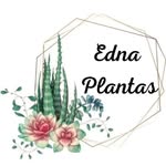 Edna Da Silva Neumann Okonski - @edna_plantas_jlle - Instagram