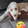 Edna Ann Nickerson - @edna.ann.nickerso - TikTok