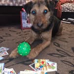 Edna Norman - @edna.norman.56 - Instagram