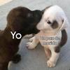 Edna Leticia Obregon - @ednaleticia22 - TikTok