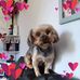 Edna Pugh - Facebook