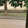 ednarang - @ednarang - TikTok
