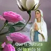 Edna Rincon - @ednarincon1 - TikTok