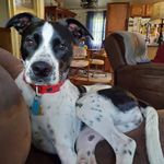 Edna Robbins - @edna.robbins.16 - Instagram
