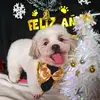Edna Rocio Robles Figueroa - @edna.rocio.robles2 - TikTok