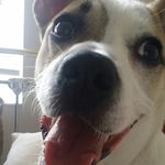 Edna Roman Giacchetto - @ednaromangiacchetto - Instagram